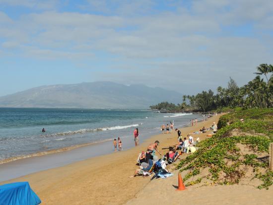 Amazing Kihei Kai Nani - Maui Vista One Bedroom Condos Eksteriør bilde